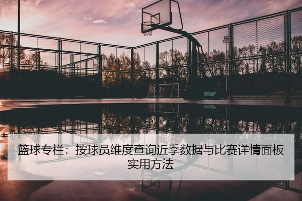 篮球专栏：按球员维度查询近季数据与比赛详情面板实用方法